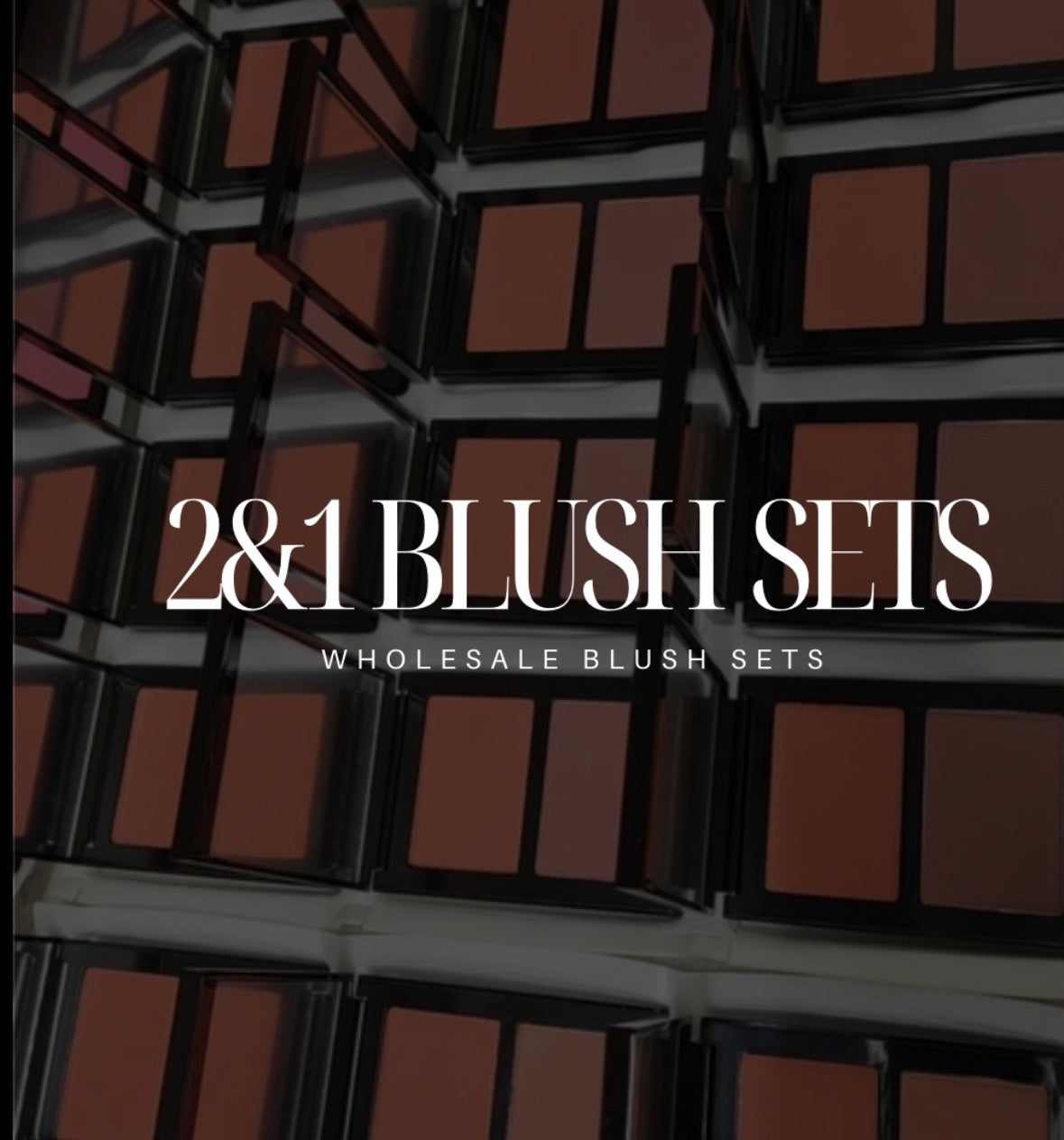 Wholesale Powder 2&1 Blush sets