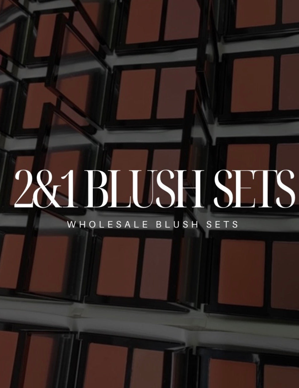 Wholesale Powder 2&1 Blush sets