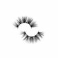 “REGULAR LASHES”