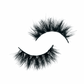 “REGULAR LASHES”
