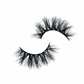 “REGULAR LASHES”